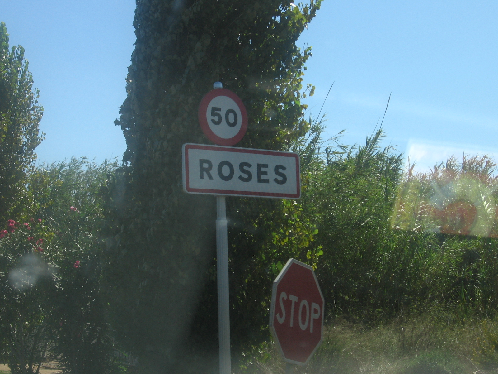 rosas