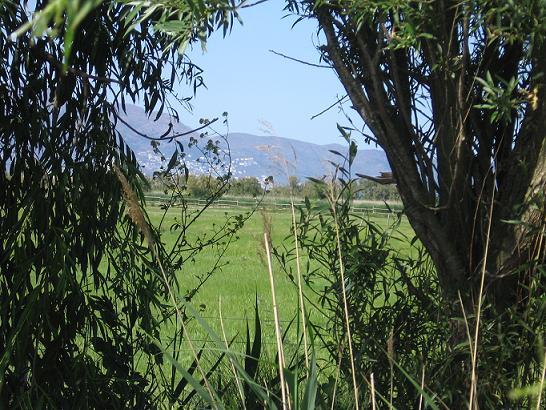 Rosas vue d'Empuriabrava